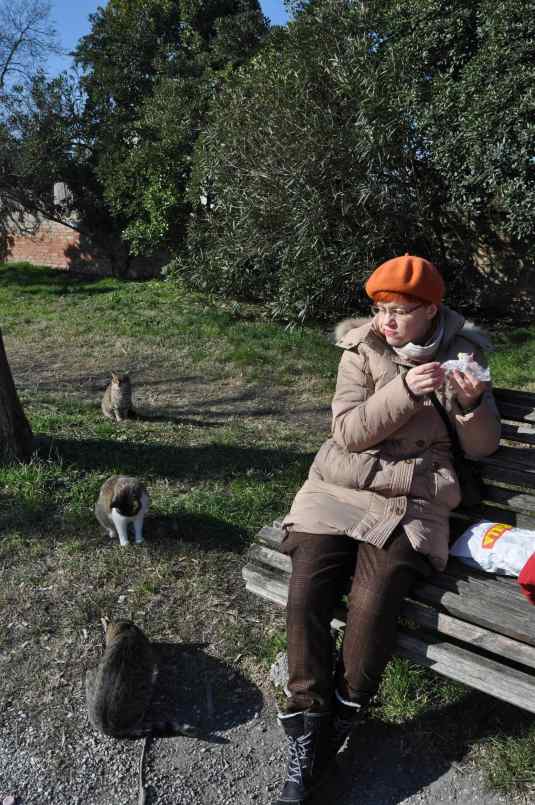 les chats guides touristiques de Torcello