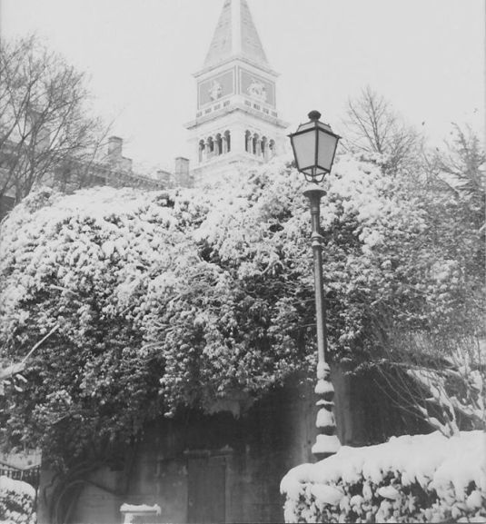Jardin Royal sous la neige